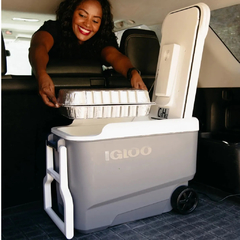 CONSERVADORA IGLOO VERSATEMP 12V 35QT 33L - tienda online