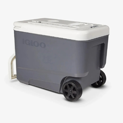 CONSERVADORA IGLOO VERSATEMP 12V 35QT 33L