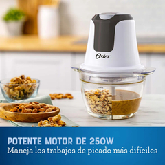 MINI PICADORA OSTER 250W FPSTFP3340 en internet