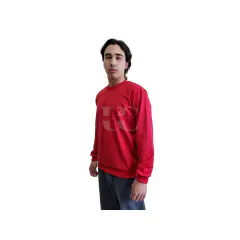 Imagem do Blusa de Moletom