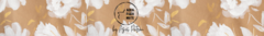 Banner de la categoría Cápsula by Agus Patrón