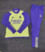 Conjunto De Treino Real Madrid 2024/2025 Manga Longa - Verde Claro e Roxa