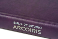 Biblia De Estudio Arco Iris Símil Piel Morado Multicolor - Reina Valera 1960