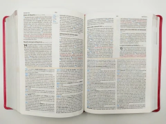 biblia de estudio holman rosa