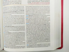 biblia de estudio holman rosa