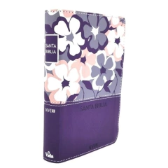 Biblia NVI