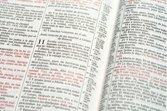 BIBLIA SCOFIELD TAPA CASTAÑO VERDE