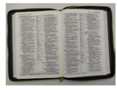 Biblia Nueva Traducción Viviente Cierre Letra Grande Negro en internet