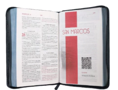 Biblia Reina Valera 1960 Letra Grande Pjr Cierre Gris Qr - comprar online