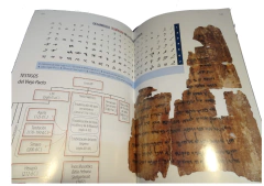 Biblia Textual IV edición Tapa Vinílica - Clamor Librería Cristiana