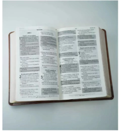 Biblia de Promesas Reina Valera 1960 Jesus Para Todos - Manual - Pu - Cafe - Clamor Librería Cristiana
