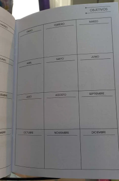 Planner anual - comprar online
