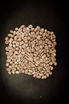 Colombia Santander Crudo-5 Kilos en internet