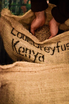 Kenia Murang'a Tostado-5 Kilos en internet