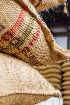 Colombia Valle del Cauca Crudo-5 Kilos - comprar online