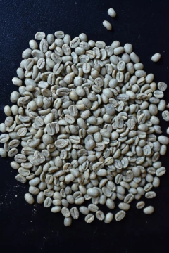 Etiopía Guji Crudo-5 Kilos - comprar online