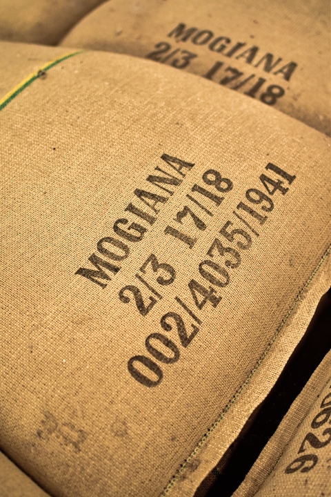 Brasil Mogiana Crudo-5 Kilos