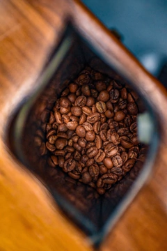 Costa Rica Tarrazú Tostado-5 Kilos