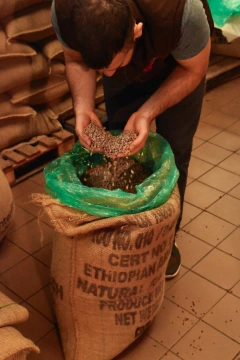 Etiopía Guji Tostado en internet