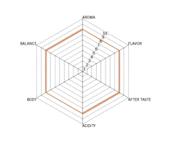 Costa Rica Tarrazú Tostado en internet