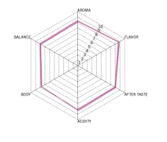 Etiopía Guji Crudo-5 Kilos en internet