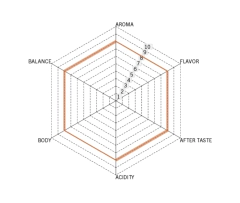 Costa Rica Tarrazú Crudo-5 Kilos en internet