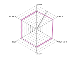 Etiopía Guji Tostado-5 Kilos en internet