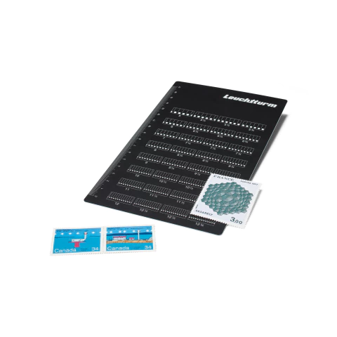 Odontômetro Leuchtturm - comprar online