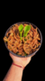 Heliamphora Tatei Var Tatei - comprar online