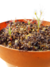 Drosera Scorpioides - tienda online