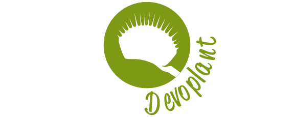 Devoplant