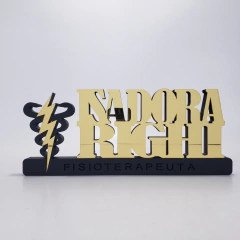 Placa Decorativa Profissões Fisioterapia - comprar online