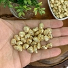 ENTREMEIO PARA PULSEIRA CONCHA DO MAR - 20 GRAMAS DOURADA