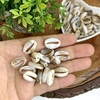 ENTREMEIO PARA PULSEIRAS BÚZIOS EM ACRÍLICO - 10 GRAMAS