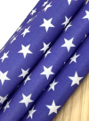 LONITA ESTAMPADA AZUL COM ESTRELAS - LNT19 - UNIDADE na internet