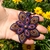 Colar de Flor em Macramê