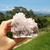 Drusa Cristal de Quartzo 355 g