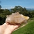 Drusa Cristal de Quartzo 500 g