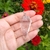 Pêndulo Cristal de Quartzo - comprar online
