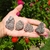 Pirita Extra 29 g a 38 g - loja online