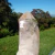 Ponta de Cristal Lemuriano 2.962 kg com Base de Ferro na internet