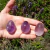Yoni Egg Ametista - loja online