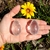 Yoni Egg Cristal de Quartzo - loja online