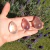 Yoni Egg Cristal de Quartzo - comprar online