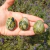 Yoni Egg Jade - Natupyar Cristais e Artes