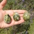 Yoni Egg Jade - loja online