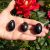 Yoni Egg Obsidiana Floco de Neve na internet