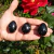 Yoni Egg Obsidiana Floco de Neve - comprar online