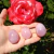 Yoni Egg Quartzo Rosa