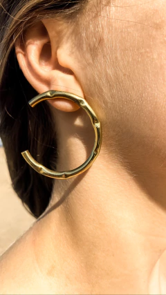 AROS GINEBRA en internet